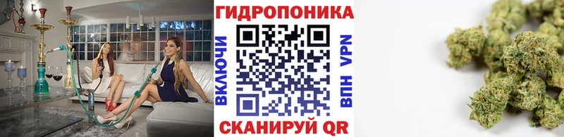 Купить закладку Cocaine  Мефедрон  Альфа ПВП  МЕТАДОН  Конопля  Перевоз