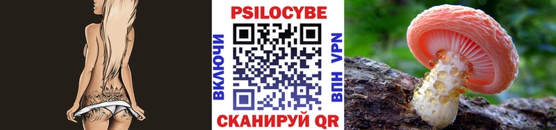 Купить закладки  Перевоз  Псилоцибиновые грибы Cubensis 